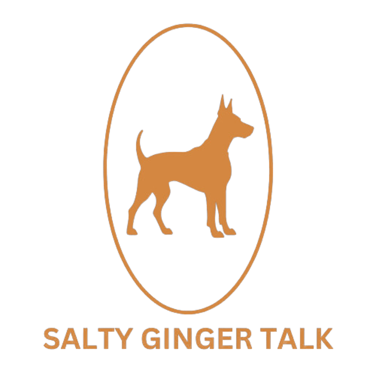 Salty Ginger Talk logo