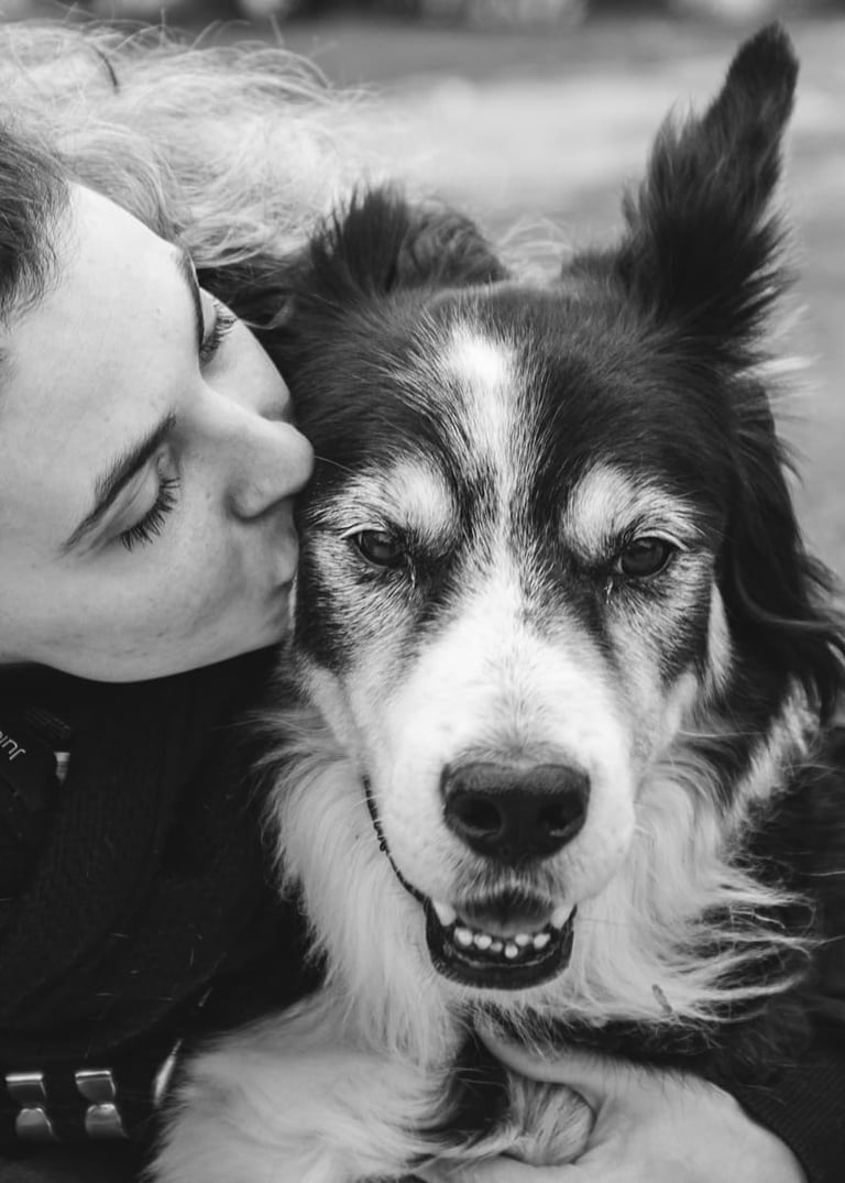 Photo d'animal de compagnie