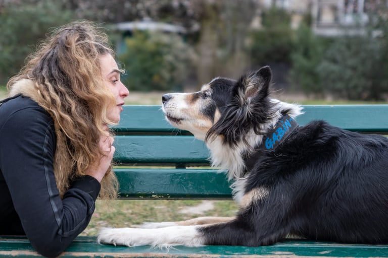 Photo d'animal de compagnie