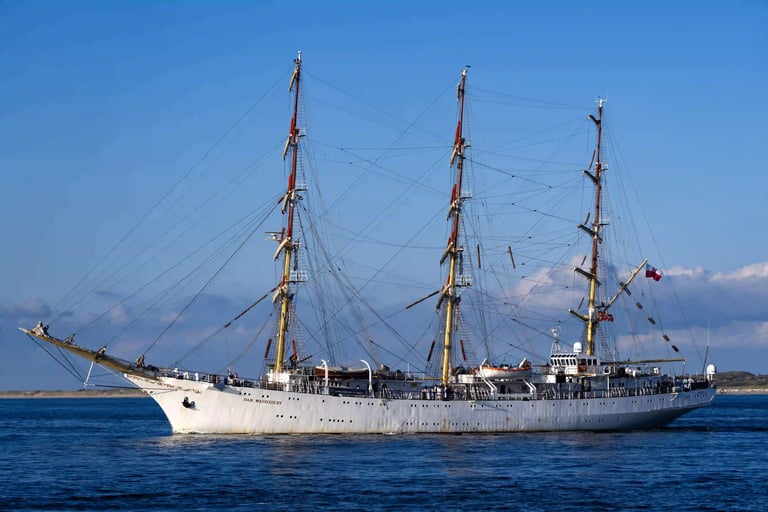 Sail-Out, Dar MlodZiezy