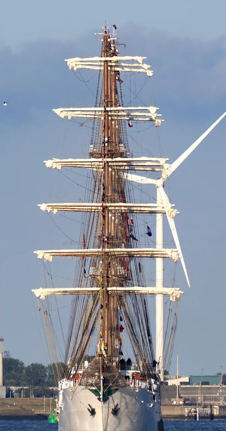 Sail-Out, BAP Union