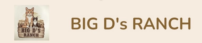 Big D's Ranch logo