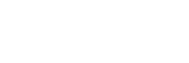 Medulane logo