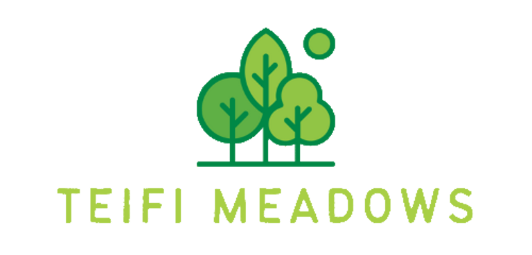 Teifi Meadows logo