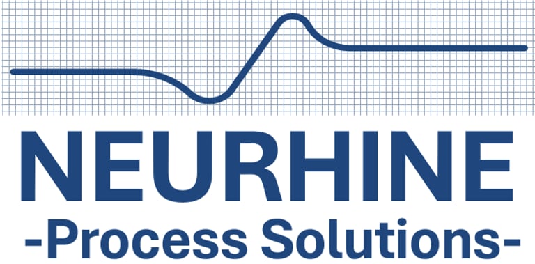 NEURHINE Process Solutions logo