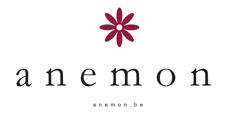 Anemon logo