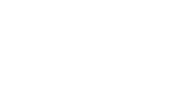 www.sirdiessokis.lt logo