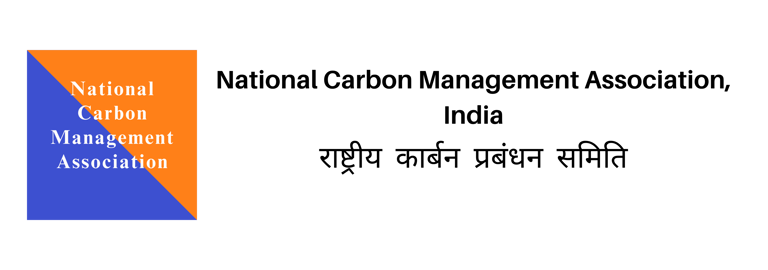 Net Zero Plan / Carbon Reduction Plan logo