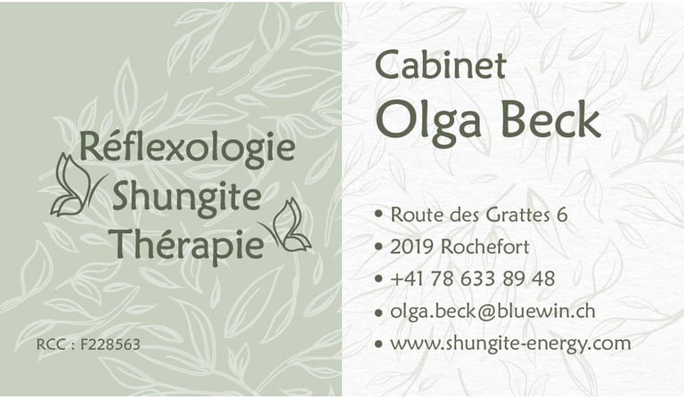 shungite-energy ch logo