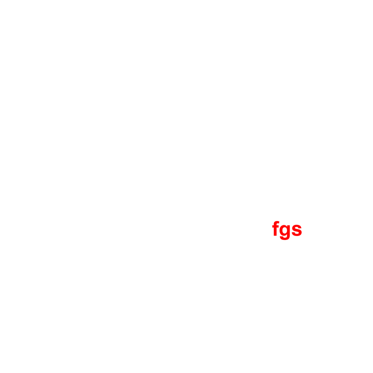 Francisco Gomes Santos, lda. logo
