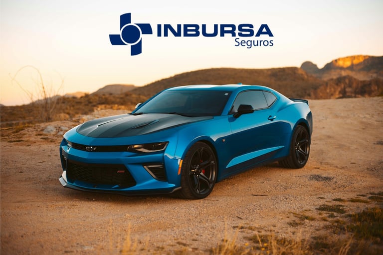 Seguro auto anual para residentes en Mexico incluye seguro RC americana