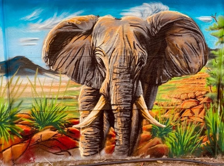 un graffiti d'un éléphant en Namibie de face