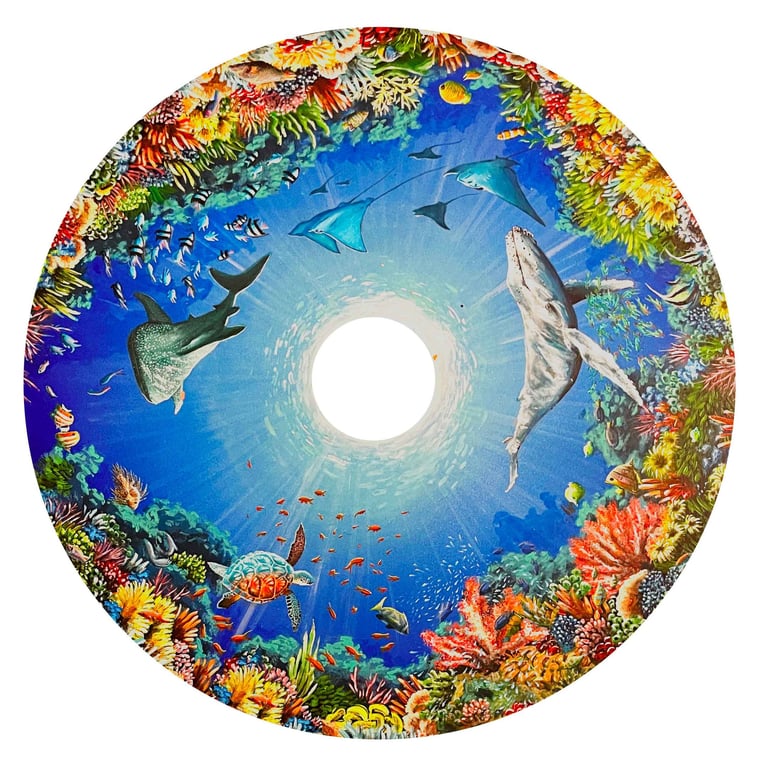 peinture d'océan avec des poissons des baleines et des coraux sur un enjoliveur pour fauteuil roulant "Olliver