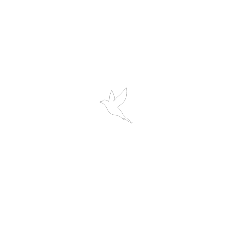 We are the Best Digital Marketing Agency in Kolkata logo