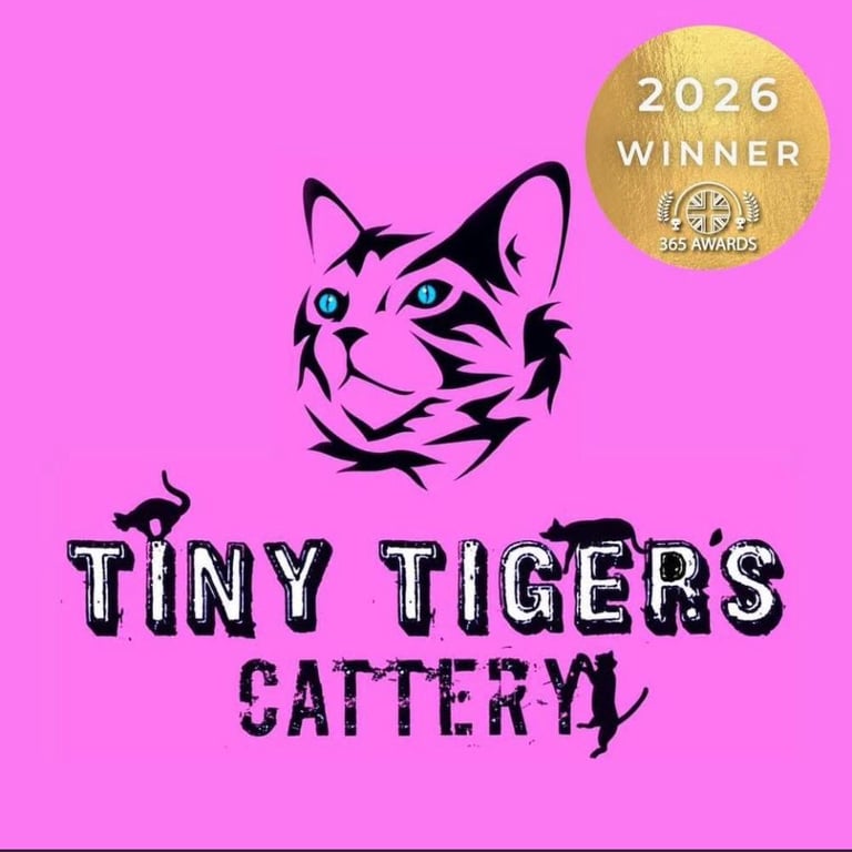 Tiny Tigers Cattery logo