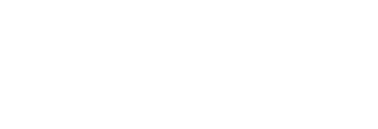 Amazonic Lab logo