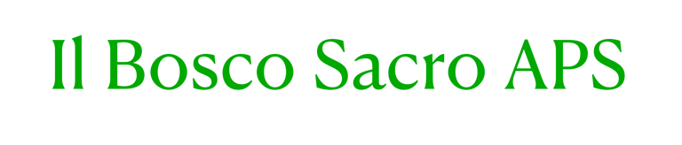 Il Bosco sacro APS logo