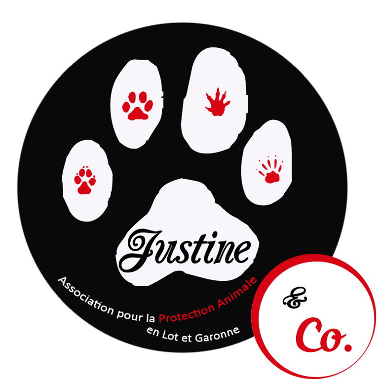 Justine and Co logo