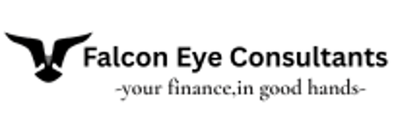 Falcon Eye logo