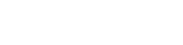 zborowskipłytki.pl logo