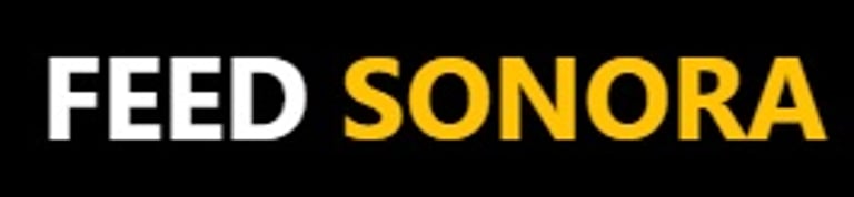 Feedsonora logo