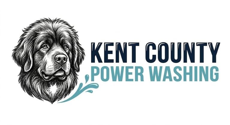 SoftShine Power Wash logo