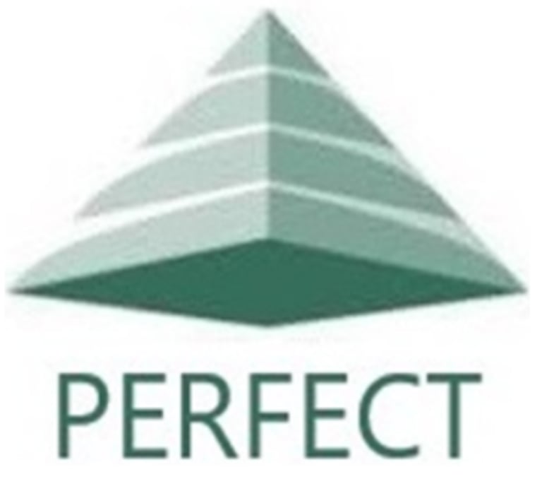 PERFECT ENGENHARIA ELÉTRICA logo