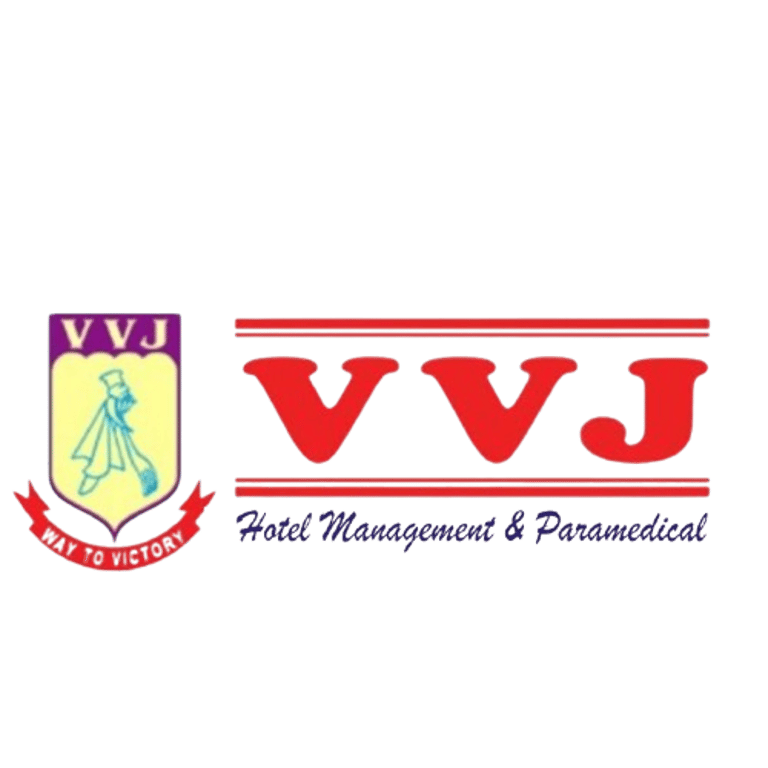 VVJ Institute logo