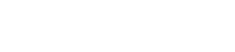 Prometis logo