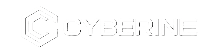 CYBERINE LLC logo