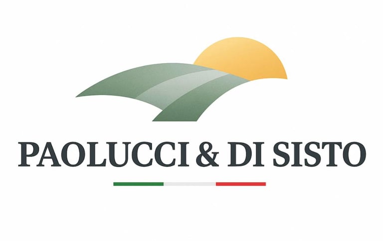 Paolucci & Di Sisto & C. S.a.s logo