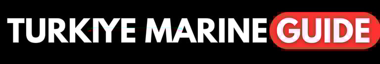 Denizcilikte Dijital Stratejiler, AI | Web3 | Endüstri 5.0 logo