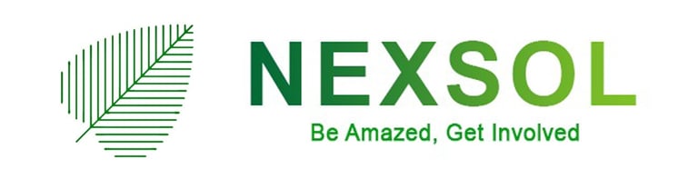 Nexsol logo
