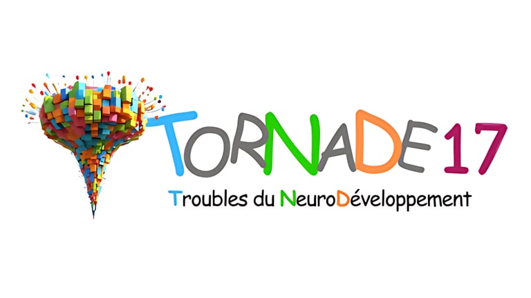 TorNaDe17 logo