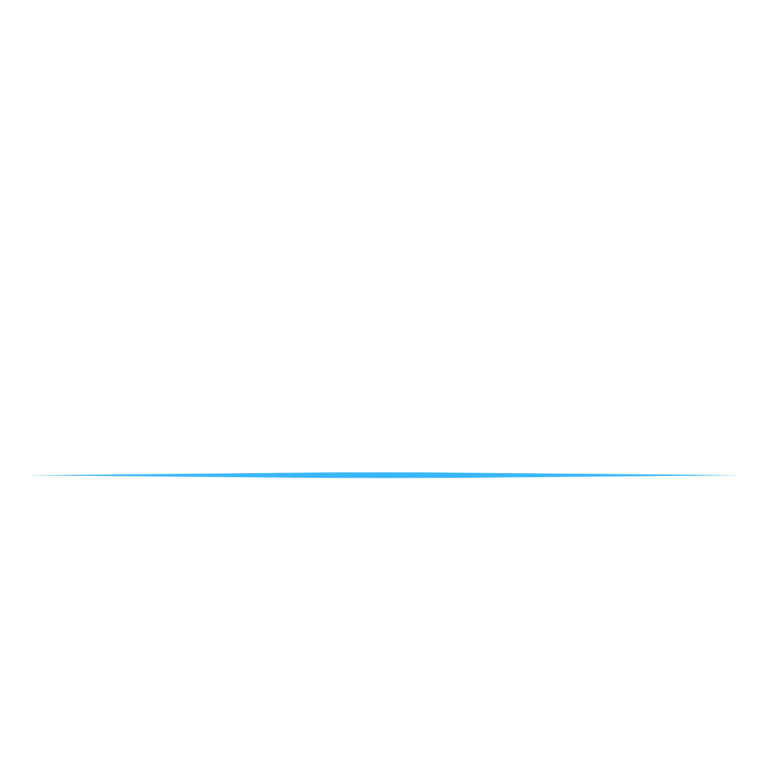 CHVZ Detail logo
