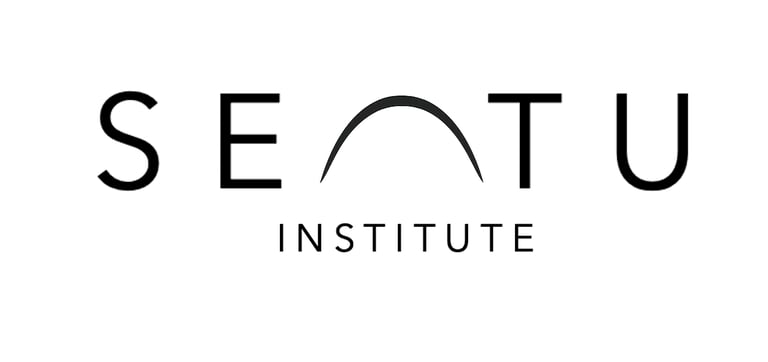 Setu Institute logo