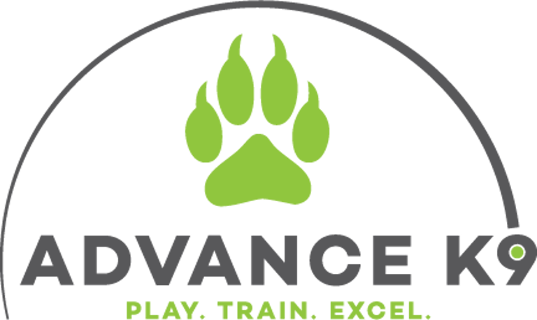Advance K9 VT logo