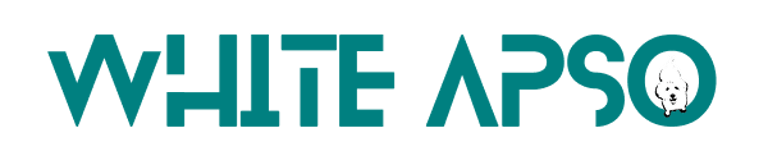 WhiteApso Technologies logo