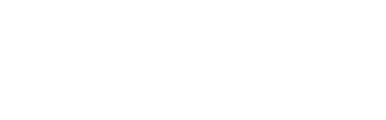 Rare Horse Society of New Zealand  logo
