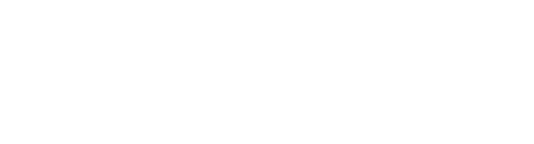 Dionisio Casa de Vinos logo