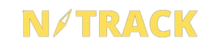 N/TRACK Consultoria Empresarial logo
