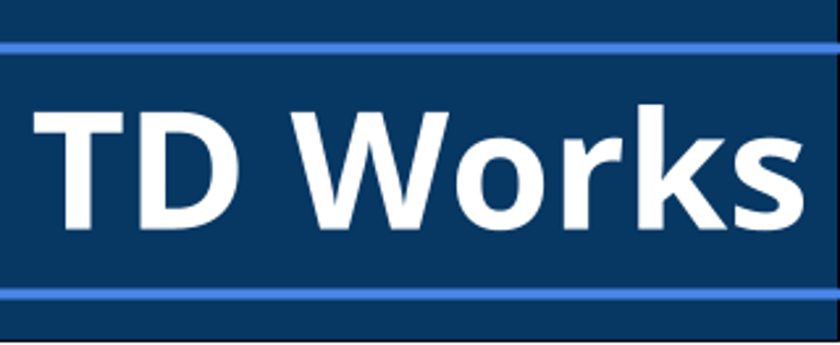 TD Works - Cyber Security & Consulting Services logo