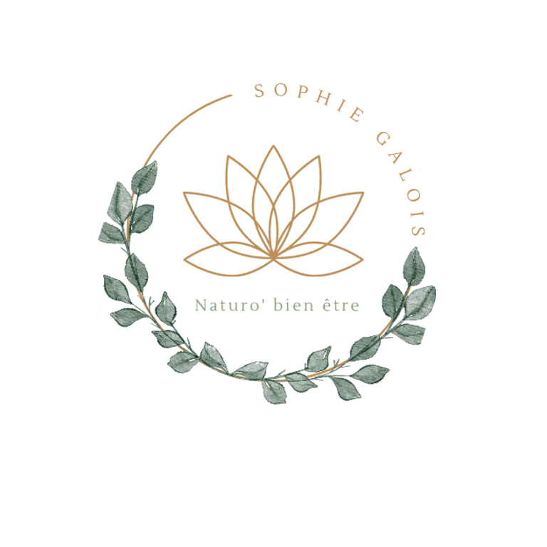 Sophie Galois Naturo'Bien Être logo