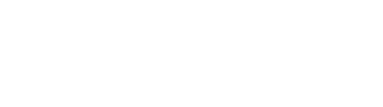 Lubelskie szkolenia lotnicze logo