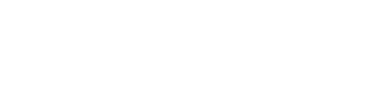 Nelson Loja Photography logo
