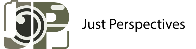 Just Perspectives | Joel Pingel logo