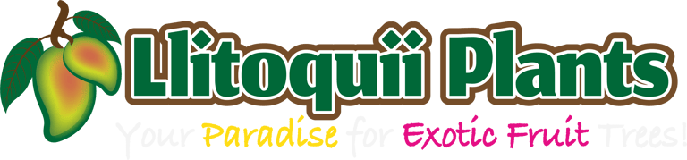 Llitoquii Plants- San Diego's Best Tropical & Exotic Fruit Tree Nursery logo