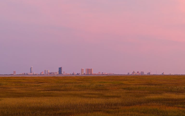 Atlantic City skyline seen across golden salt marshes of Forsythe Wildlife Refuge at dusk, pink sky.