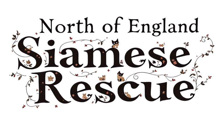 SIAMESE & ORIENTAL CAT RESCUE BASED IN SHEFFIELD SOUTH YORKSHIRE. WE ARE THE NORTH OF ENGLAND CONTACT. logo
