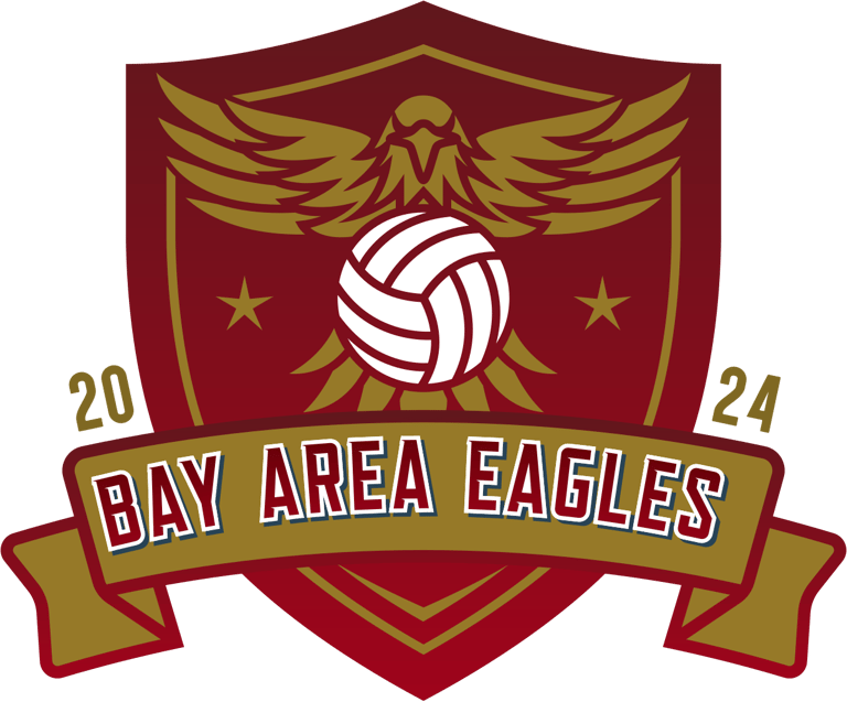 Bay Area Eagles Volleyball Club logo